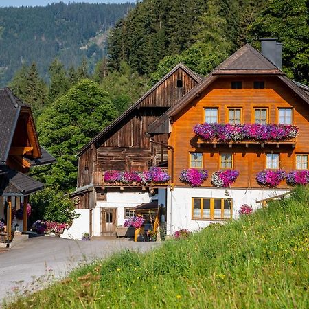 Bio-Bauernhof Grundlehnerhof Pension Ramsau am Dachstein Buitenkant foto