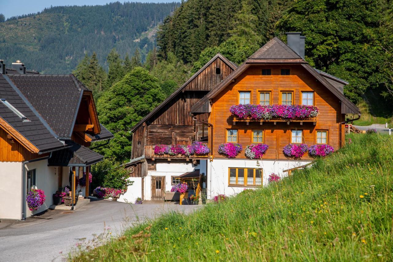 Bio-Bauernhof Grundlehnerhof Pension Ramsau am Dachstein Buitenkant foto