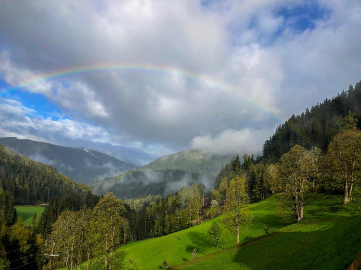 Bio-Bauernhof Grundlehnerhof Pension Ramsau am Dachstein Buitenkant foto