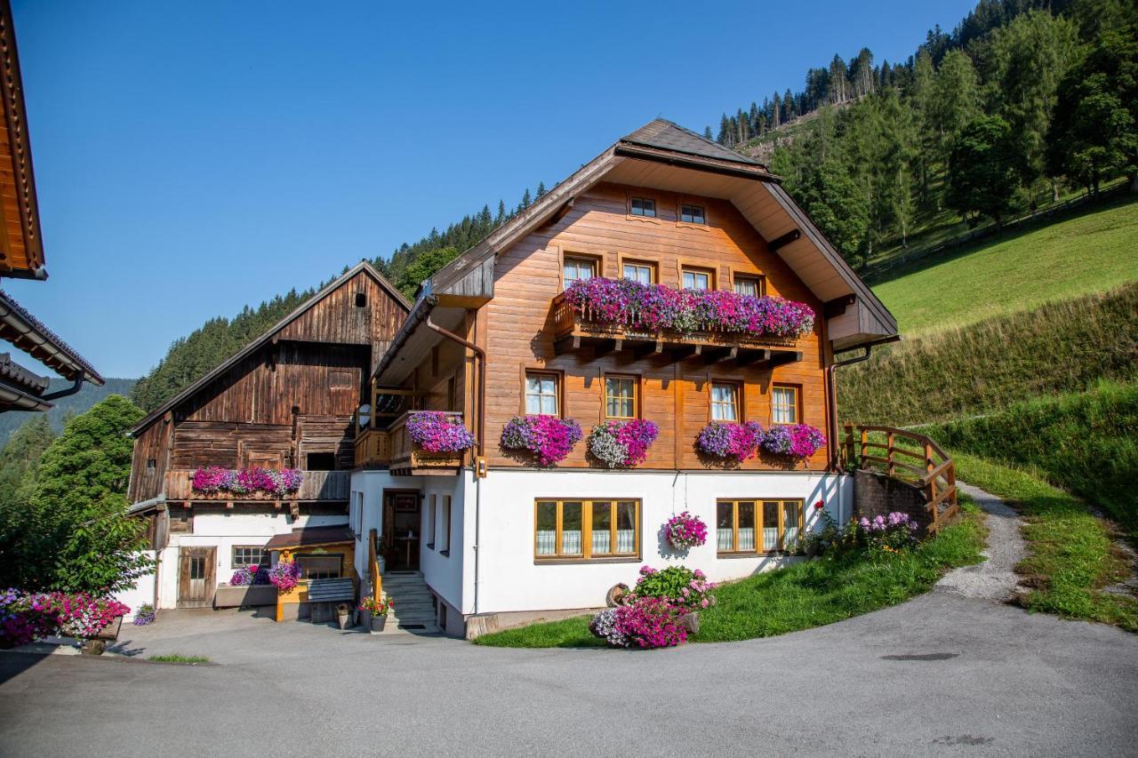 Bio-Bauernhof Grundlehnerhof Pension Ramsau am Dachstein Buitenkant foto