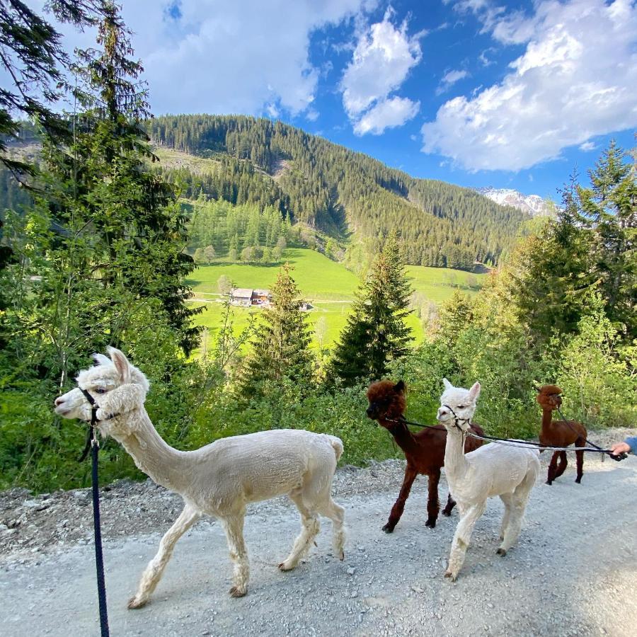 Bio-Bauernhof Grundlehnerhof Pension Ramsau am Dachstein Buitenkant foto