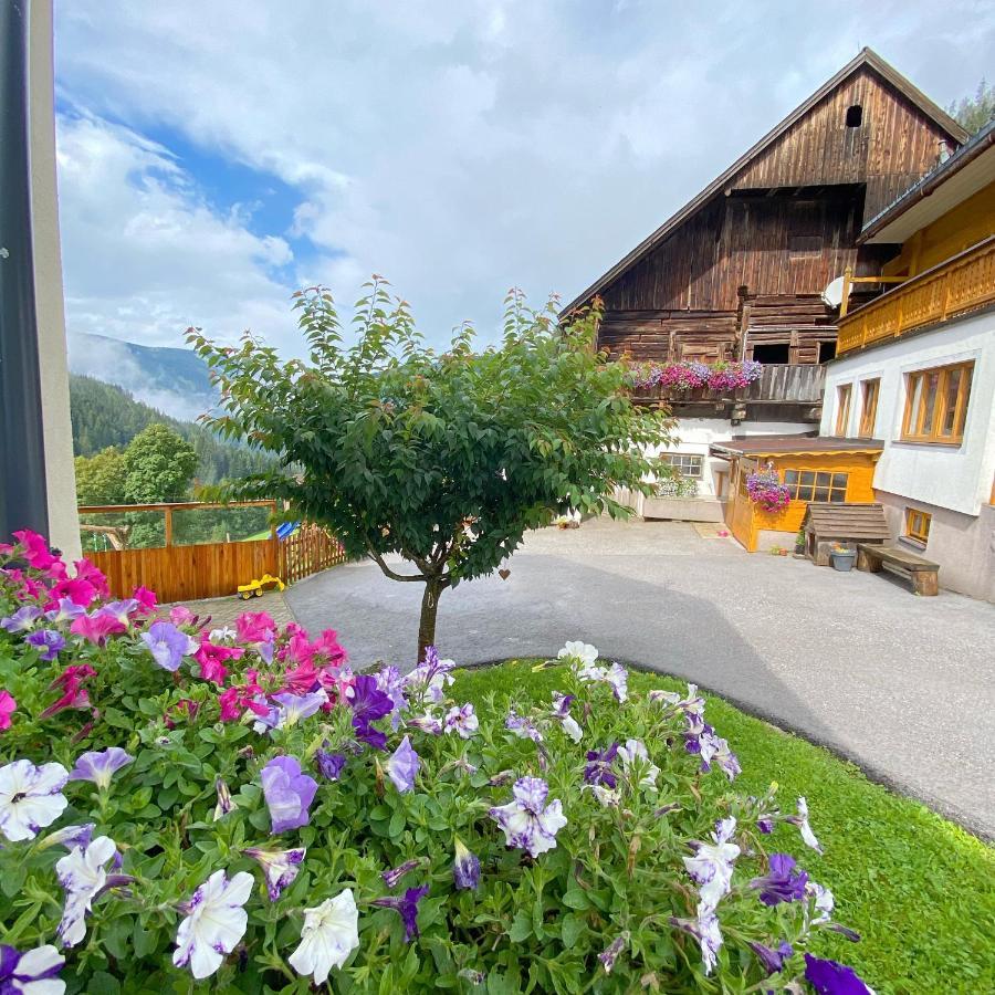 Bio-Bauernhof Grundlehnerhof Pension Ramsau am Dachstein Buitenkant foto