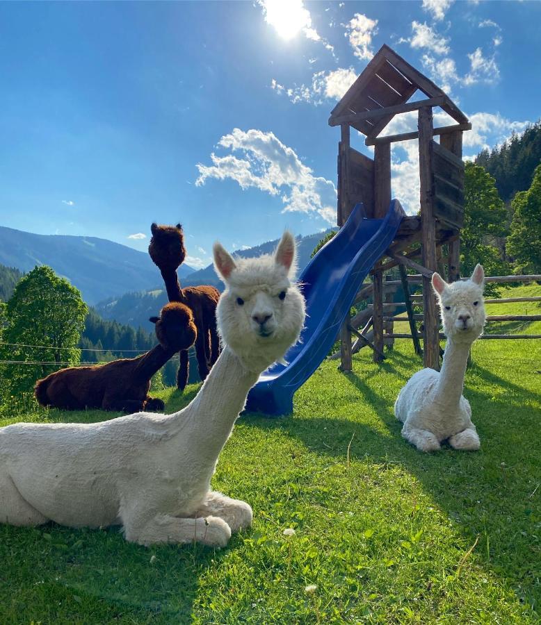 Bio-Bauernhof Grundlehnerhof Pension Ramsau am Dachstein Buitenkant foto