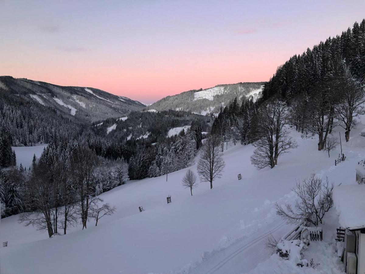 Bio-Bauernhof Grundlehnerhof Pension Ramsau am Dachstein Buitenkant foto