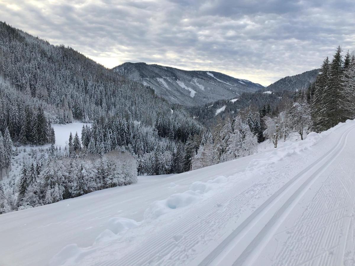 Bio-Bauernhof Grundlehnerhof Pension Ramsau am Dachstein Buitenkant foto