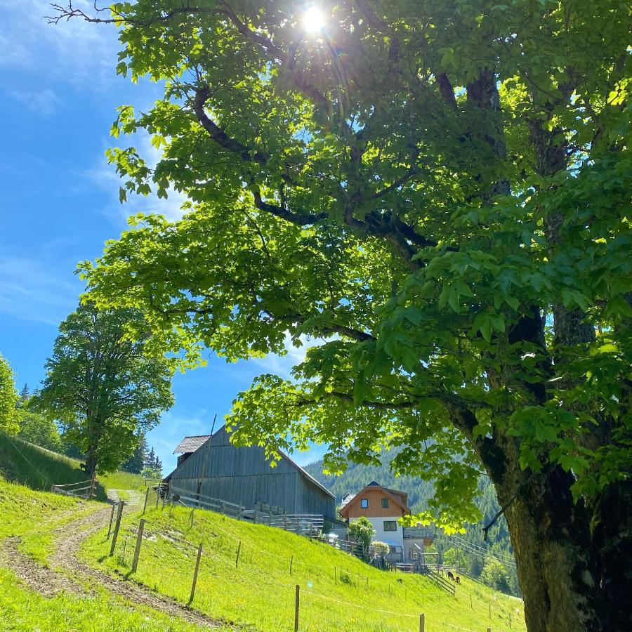 Bio-Bauernhof Grundlehnerhof Pension Ramsau am Dachstein Buitenkant foto
