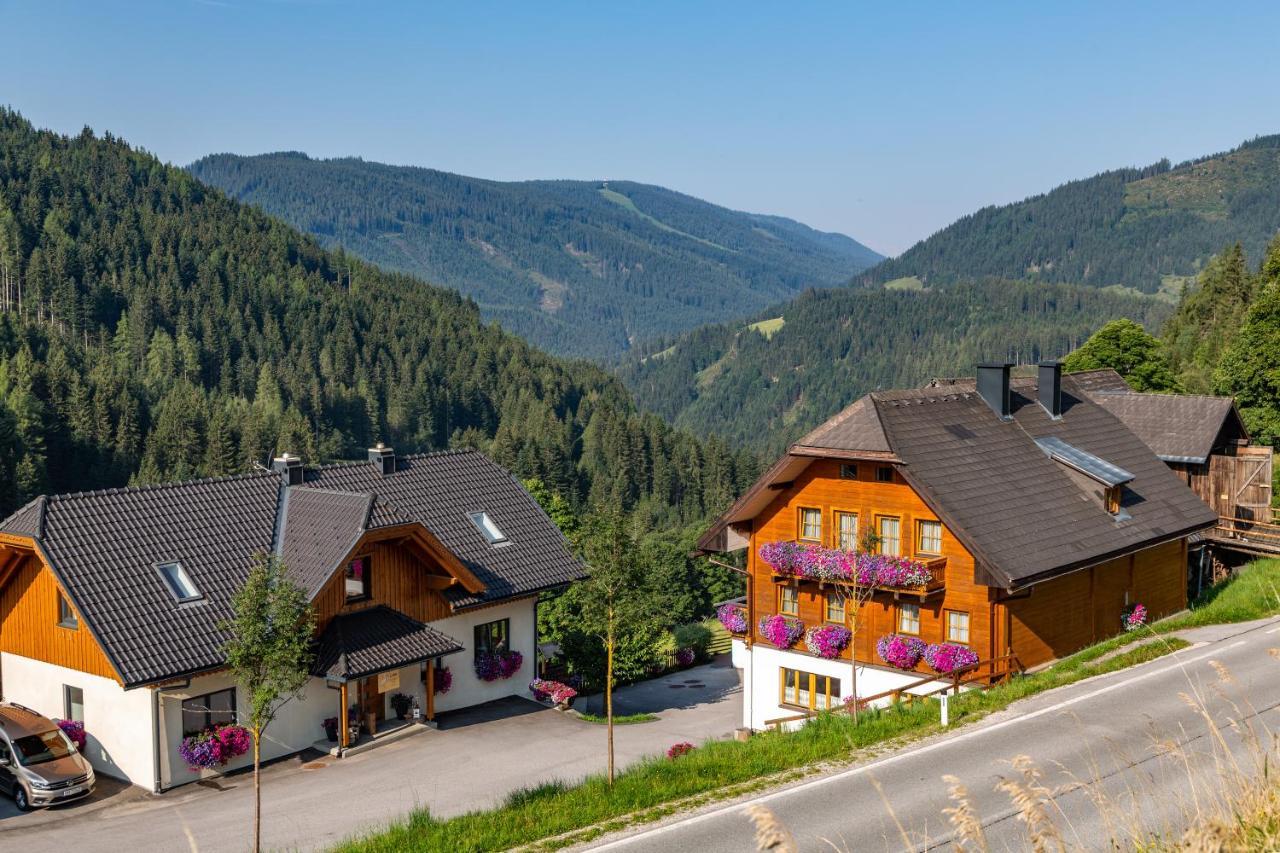 Bio-Bauernhof Grundlehnerhof Pension Ramsau am Dachstein Buitenkant foto