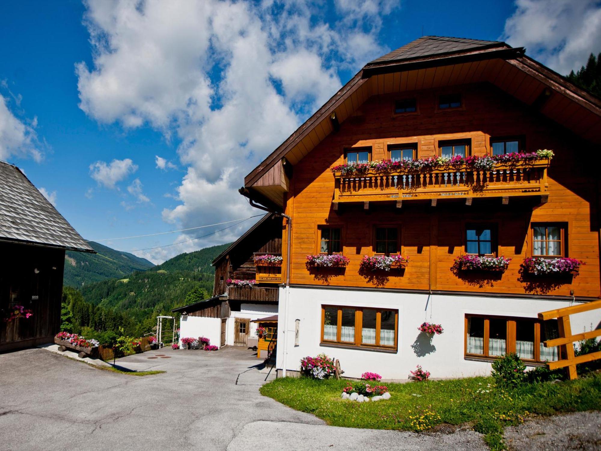 Bio-Bauernhof Grundlehnerhof Pension Ramsau am Dachstein Buitenkant foto